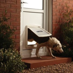 Basculante per cani Senna Comasco