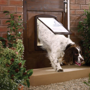Basculante per cani